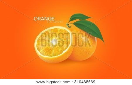 A Realistic Illustration Of Full Orange, Half Orange  In Vector Art.