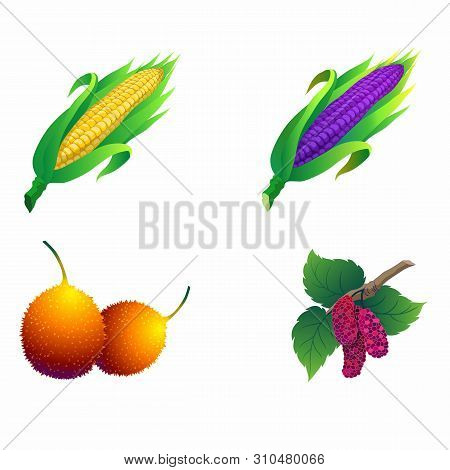Corn, Gac, Mulberry, Asian Fruits And Vegetables.