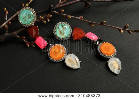 Branches With Beautiful Earrings On Black Background. Luxury Jewelry