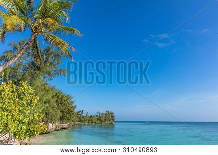 coastline beach seaside of Kizimkazi in Unguja aka Zanzibar Island Tanzania East Africa