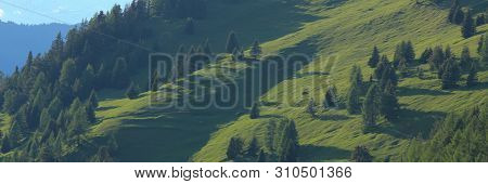 Forest And Hills In Obermutten, Canton Of Grisons, Switzerland.