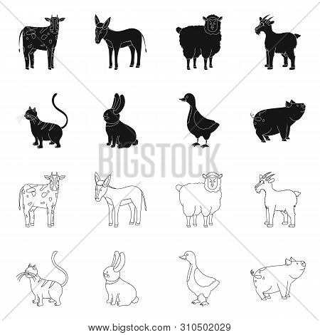 Vector Illustration Of Breeding And Kitchen Icon. Collection Of Breeding And Organic Vector Icon For