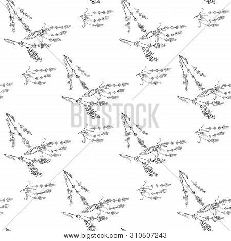 Lavender Natural Hand Drawn Pattern White And Black Illustration. Herbal Botanical  Decoration Backg
