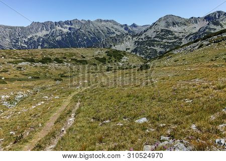 Amazing Summer Landscape Of Pirin Mountain, Bulgaria