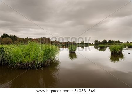 Beautiful Wetland In The Natural Park Of Saint Lyphard