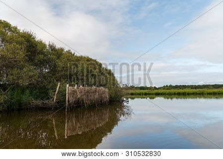 Beautiful Wetland In The Natural Park Of Saint Lyphard