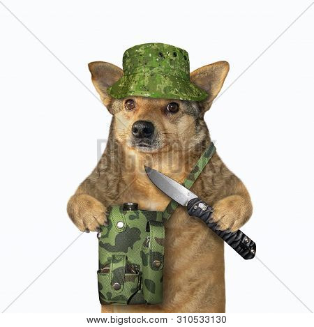 The Dog Hunter In Uniform With A Hunting A Bag Is Holding A Big Jackknife. White Background. Isolate