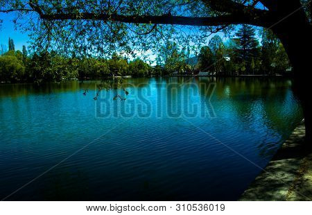 Puigcerda's Lake Surrounded By Trees In The Spring