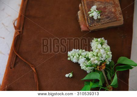 Old Books, One Leather-bound, With White Lilacs And Copy Space