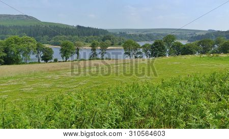 Burrator Reservoir In Dartmoor National Park, Devon, Uk, Reservoir Supplies Drinking Water To The Ci