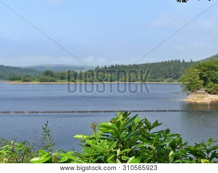 Burrator Reservoir In Dartmoor National Park, Devon, Uk, Reservoir Supplies Drinking Water To The Ci