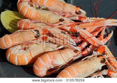 Fresh Nephrops Fished In Brittany On A Plate