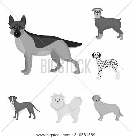 Dog Breeds Monochrome Icons In Set Collection For Design.dog Pet Bitmap Symbol Stock Web Illustratio