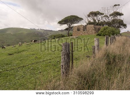 Random Farming Land With Cattle Grazing Near An Old Homestead Ruin. Situated Near Myponga Beach In T