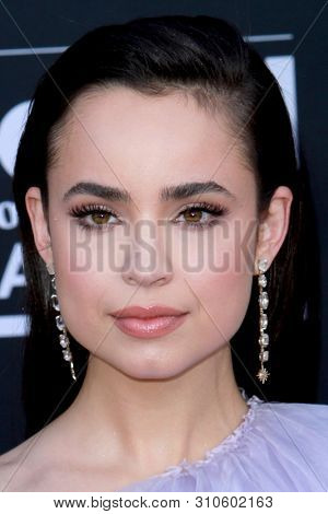 LAS VEGAS - MAY 1:  Sophia Carson at the 2019 Billboard Music Awards at MGM Grand Garden Arena on May 1, 2019 in Las Vegas, NV