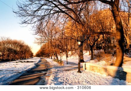 Vinter Sunset