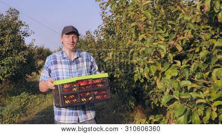 Happy Young Man Walking In The Garden. Smiling Male Wearing Casual Clothes Cap And Shirt Holding Box