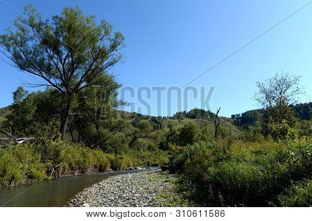The Mountain River Yarovka On The Territory Of The Altai Territory In Western Siberia. Russia