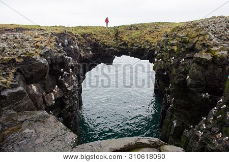 Arnarstapi Basalt Rock Arch Formation, Iceland