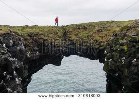 Arnarstapi Basalt Rock Arch Formation, Iceland