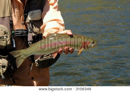 虹 Trout_Filtered