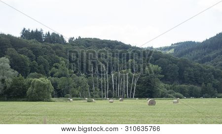 Meadow With Dead Trees And Hay Bales In Valley Between La Roche And Hotton In The Belgian Ardennes