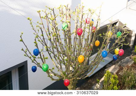 Colored Easter Eggs On Willow Bouquet With Kitten Willows
