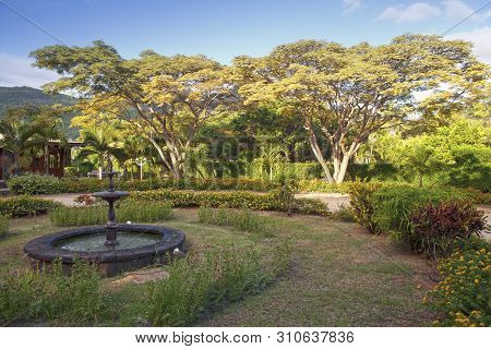 Park With Fountains In Mauritius  In Sunny Day