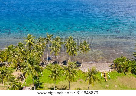 Landscape With Coconut Trees And Turquoise Lagoon, View From Above.seascape With Palm Trees And A Pe