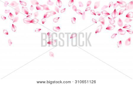 Spring Tree Flowers Parts, Airy Flying Petals Windy Blowing Background. Botanical 3d Particles. Natu