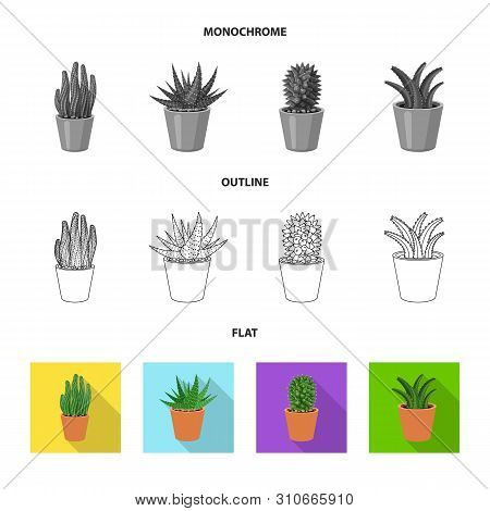 Vector Illustration Of Cactus And Pot Icon. Set Of Cactus And Cacti Vector Icon For Stock.
