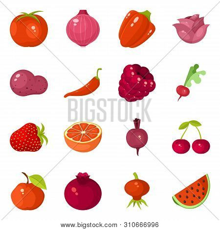 Isolated Object Of Vegetable And Food Symbol. Collection Of Vegetable And Ripe Vector Icon For Stock