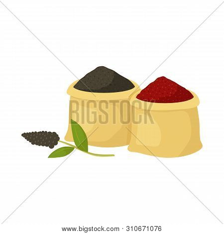 Vector Design Of Bag And Spice Icon. Collection Of Bag And Turmeric Stock Vector Illustration.