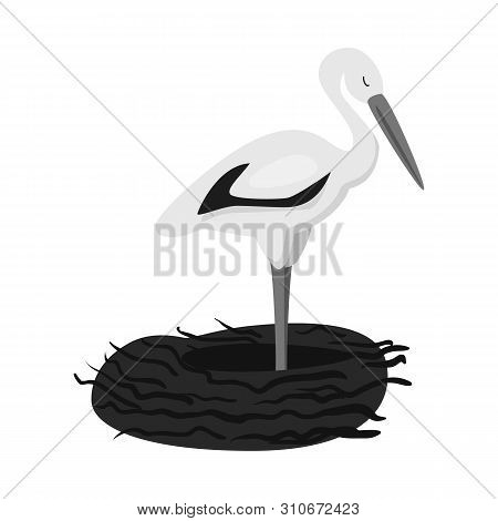 Vector Illustration Of Stork And Bird Icon. Collection Of Stork And Flying Vector Icon For Stock.