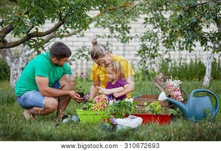Happy Family Gardening Together And Taking Care Of Nature. Plant Sprouts And Fertilize The Ground. M