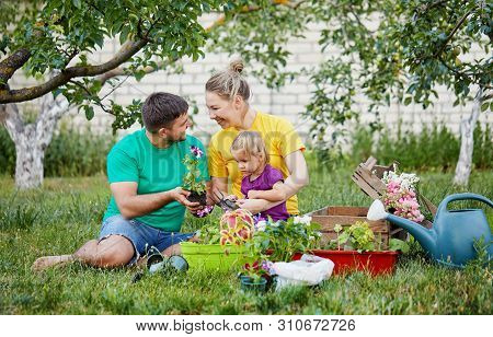 Happy Family Gardening Together And Taking Care Of Nature. Plant Sprouts And Fertilize The Ground. M