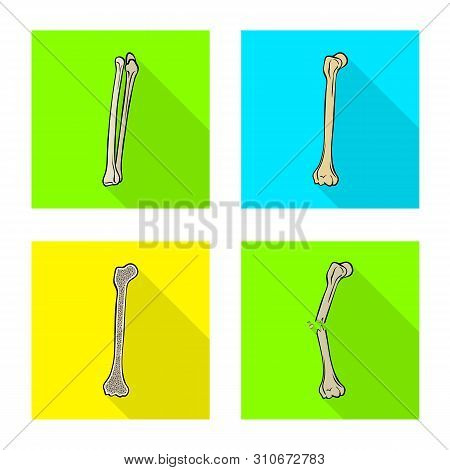 Vector Design Of Bone And Skeleton Icon. Set Of Bone And Human Vector Icon For Stock.