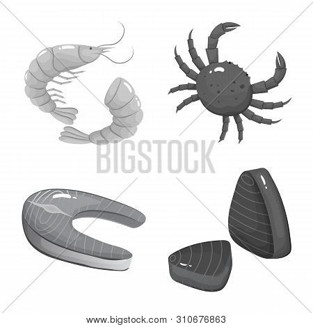 Vector Illustration Of Seafood And Healthy Sign. Set Of Seafood And Ocean Vector Icon For Stock.