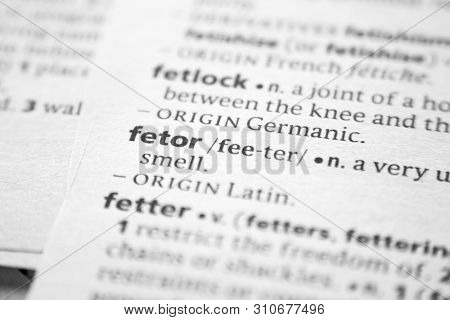 Word Or Phrase Fetor In A Dictionary
