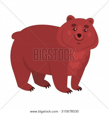 Isolated Object Of Bear And Grizzly Logo. Set Of Bear And Brown Stock Vector Illustration.