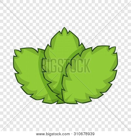 Sage Herb Icon. Cartoon Illustration Of Sage Herb Vector Icon For Web Design