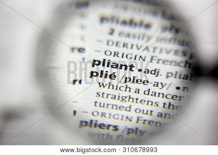 The Word Or Phrase Plie In A Dictionary