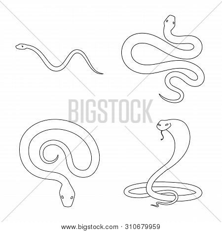 Vector Design Of Poison And Evil Icon. Collection Of Poison And Bite Stock Vector Illustration.