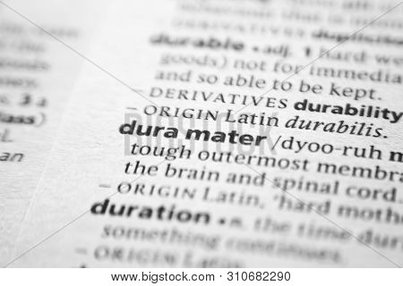 Word Or Phrase Dura Mater In A Dictionary
