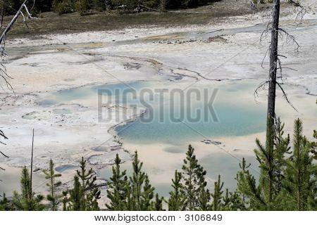 Norris Geyser campo Yellowstone
