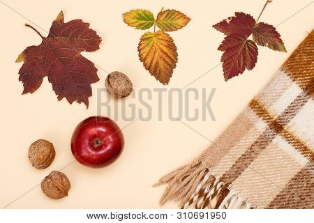 Dry Yellow And Brown Leaves, Red Apple, Walnuts And Checkered Plaid On Beige Background. An Autumn S