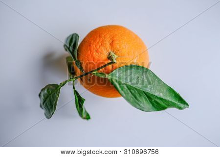 Top View Of A Single Ripe Orange With Green Leaves.  Pale Grey Background.