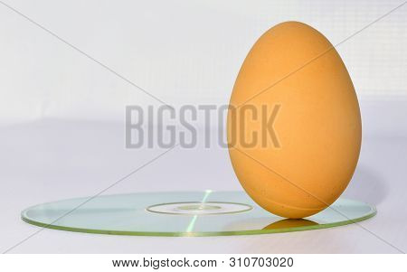 Egg Standing On Its Fat End On Compact Disk.