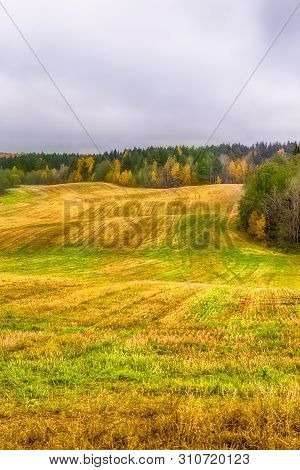 Beautiful Fall Landscape With Wavy Colorful Fields Under Rainy Grey Skies.vertical Image