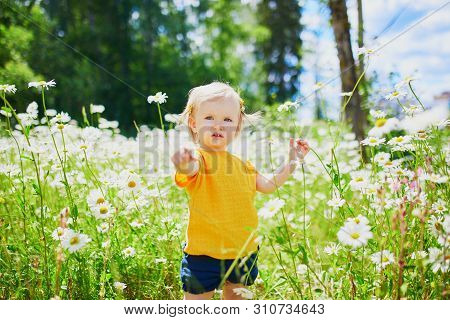 Adorable Baby Girl Amidst Green Grass And Beauitiful Daisies On A Summer Day. Little Child Having Fu